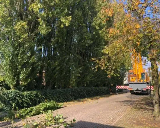 images/0000nieuws/2020/28-8-cuijk-boom-rooien/boom-verwijderen-cuijk-hap-herpen-15-530x424-833