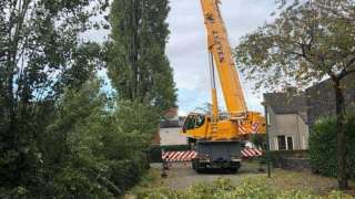 boom verwijderen cuijk hap herpen 1