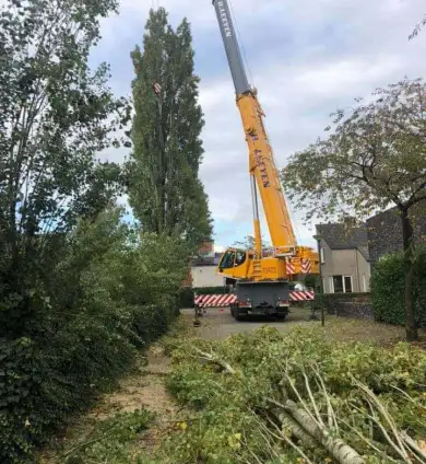 images/0000nieuws/2020/28-8-cuijk-boom-rooien/boom-verwijderen-cuijk-hap-herpen-17-390x424-752