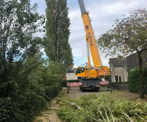 images/0000nieuws/2020/28-8-cuijk-boom-rooien/boom-verwijderen-cuijk-hap-herpen-17-510x424-20c
