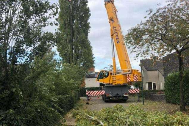 boom verwijderen cuijk hap herpen 1