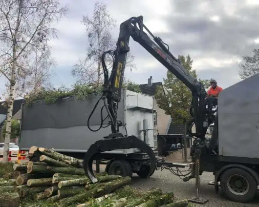 images/0000nieuws/2020/28-8-cuijk-boom-rooien/boom-verwijderen-cuijk-hap-herpen-18-530x424-833