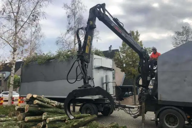 images/0000nieuws/2020/28-8-cuijk-boom-rooien/boom-verwijderen-cuijk-hap-herpen-18-635x424-234
