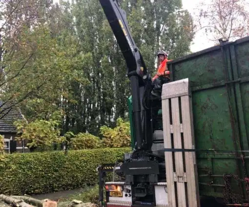 images/0000nieuws/2020/28-8-cuijk-boom-rooien/boom-verwijderen-cuijk-haps2-510x424-20c