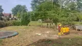 images/0000nieuws/2020/9-18-bomen-rooien-nieuwegein/nieuwegein-verwijderen-van-bomen-welke-hoveniers-bedrijf-kap-bomen-utrecht-160x90-e8c