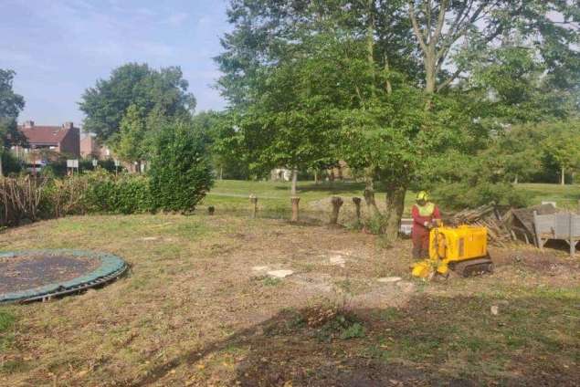 bomen rooien niewegein