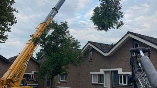 bomen rooien niewegein