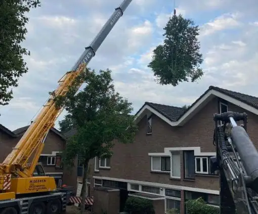 images/0000nieuws/2020/9-18-bomen-rooien-nieuwegein/nieuwegein-verwijderen-van-bomen-welke-hoveniers-bedrijf-kap-bomen-utrecht1-510x424-20c