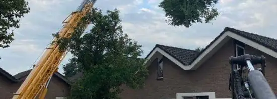 images/0000nieuws/2020/9-18-bomen-rooien-nieuwegein/nieuwegein-verwijderen-van-bomen-welke-hoveniers-bedrijf-kap-bomen-utrecht1-550x197-a7d