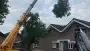 images/0000nieuws/2020/9-18-bomen-rooien-nieuwegein/nieuwegein-verwijderen-van-bomen-welke-hoveniers-bedrijf-kap-bomen-utrecht1-90x51-a74