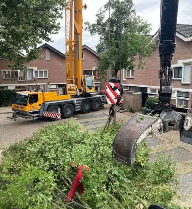 images/0000nieuws/2020/9-18-bomen-rooien-nieuwegein/nieuwegein-verwijderen-van-bomen-welke-hoveniers-bedrijf-kap-bomen-utrecht5-390x424-752