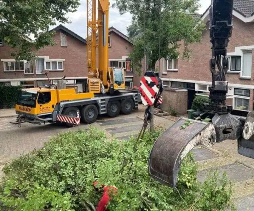 images/0000nieuws/2020/9-18-bomen-rooien-nieuwegein/nieuwegein-verwijderen-van-bomen-welke-hoveniers-bedrijf-kap-bomen-utrecht5-510x424-20c