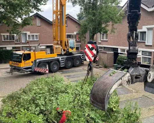 images/0000nieuws/2020/9-18-bomen-rooien-nieuwegein/nieuwegein-verwijderen-van-bomen-welke-hoveniers-bedrijf-kap-bomen-utrecht5-530x424-833
