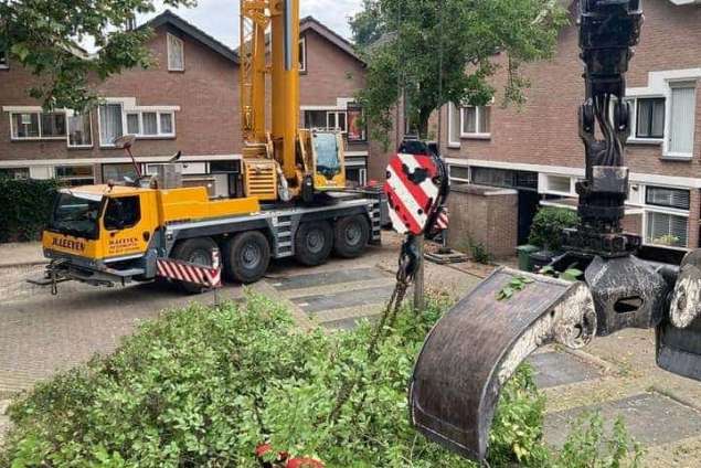 bomen rooien niewegein