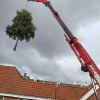 images/0000nieuws/2020/delft-boom-kap/boom-verwijderen-delft-200x200-e69