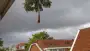 images/0000nieuws/2020/delft-boom-kap/verwidjeren-bomen-in-delft-90x51-53f