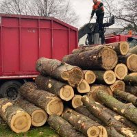 images/0000nieuws/2020/overloon-boom-kappen/boom-verwijderen-kappen-rooien-overloon-venray-200x200-d5f