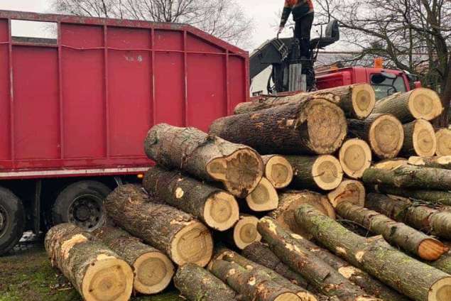 bomen rooien overloon 