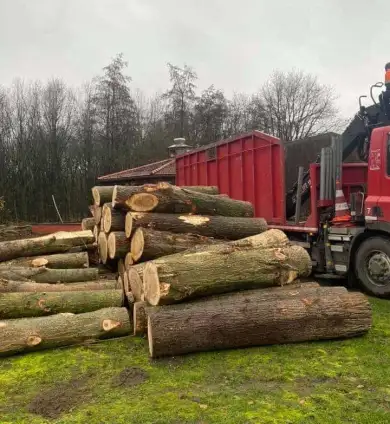images/0000nieuws/2020/overloon-boom-kappen/boom-verwijderen-kappen-rooien-overloon-venray-vakman-390x424-530