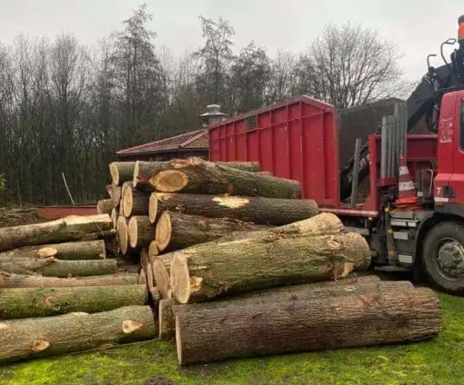 images/0000nieuws/2020/overloon-boom-kappen/boom-verwijderen-kappen-rooien-overloon-venray-vakman-510x424-069