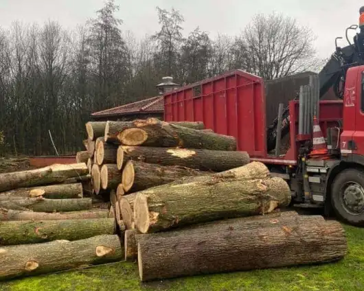 images/0000nieuws/2020/overloon-boom-kappen/boom-verwijderen-kappen-rooien-overloon-venray-vakman-530x424-9d1