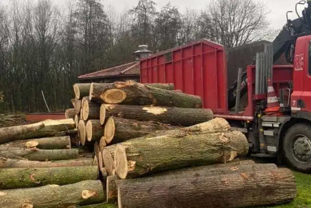 images/0000nieuws/2020/overloon-boom-kappen/boom-verwijderen-kappen-rooien-overloon-venray-vakman-635x424-c1b