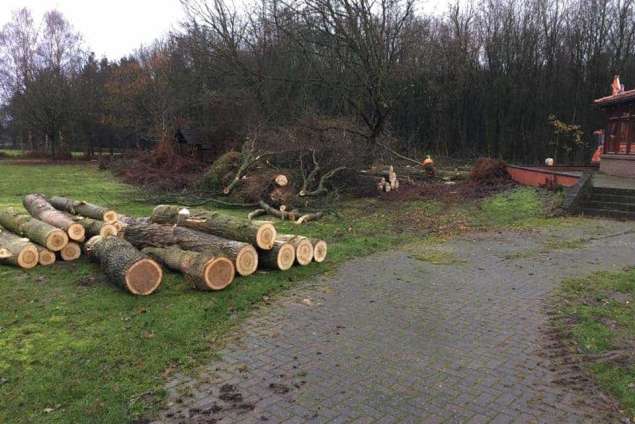 bomen rooien overloon 