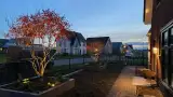 images/0000nieuws/2020/rode-esdoorn-met-sfeer-verlichting-2-160x90-13f