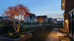 images/0000nieuws/2020/rode-esdoorn-met-sfeer-verlichting-2-257x145-d03