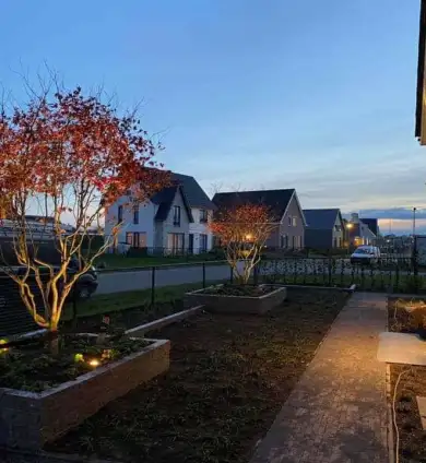images/0000nieuws/2020/rode-esdoorn-met-sfeer-verlichting-2-390x424-530
