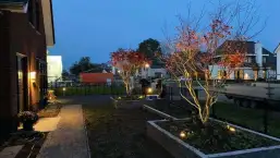 images/0000nieuws/2020/rode-esdoorn-met-sfeer-verlichting-3-257x145-d03