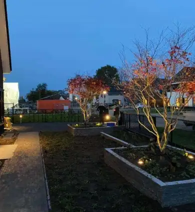 images/0000nieuws/2020/rode-esdoorn-met-sfeer-verlichting-3-390x424-530