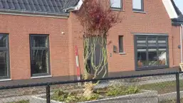 images/0000nieuws/2020/rode-esdoorn-met-sfeer-verlichting-5-257x145-491