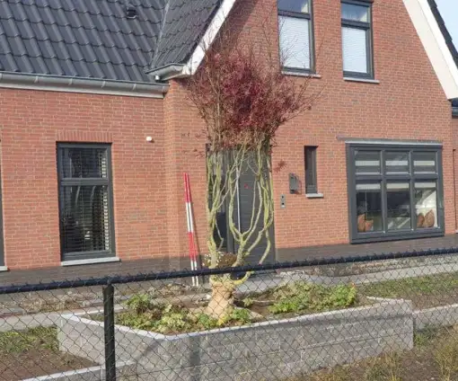 images/0000nieuws/2020/rode-esdoorn-met-sfeer-verlichting-5-510x424-49c