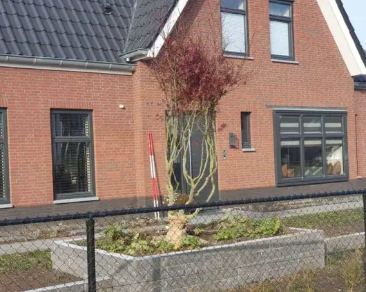 images/0000nieuws/2020/rode-esdoorn-met-sfeer-verlichting-5-530x424-24a