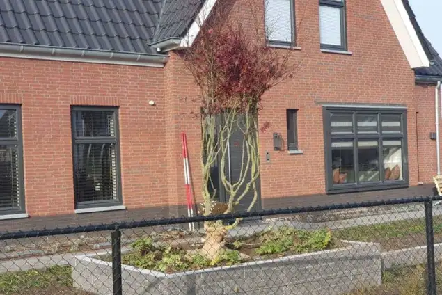 images/0000nieuws/2020/rode-esdoorn-met-sfeer-verlichting-5-635x424-848