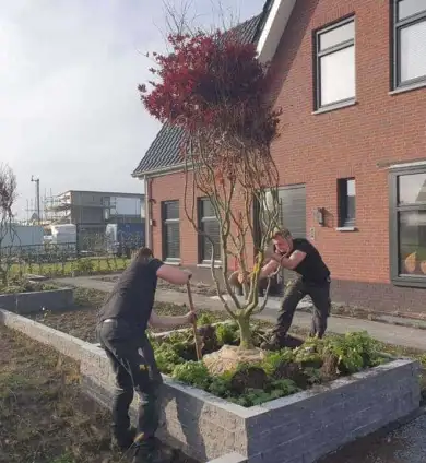 images/0000nieuws/2020/rode-esdoorn-met-sfeer-verlichting-7-390x424-297