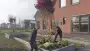 images/0000nieuws/2020/rode-esdoorn-met-sfeer-verlichting-7-90x51-ee1
