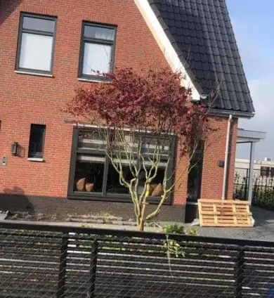 images/0000nieuws/2020/rode-esdoorn-met-sfeer-verlichting-8-390x424-297