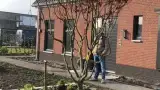 images/0000nieuws/2020/rode-esdoorn-met-sfeer-verlichting-9-160x90-005