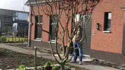 images/0000nieuws/2020/rode-esdoorn-met-sfeer-verlichting-9-257x145-491