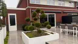 images/0000nieuws/2020/tuinoverkapping-tilburg/luxe-tuin-overkapping-strak-en-modern-tuinaanleg-vakman-hovenier-breda-257x145-370