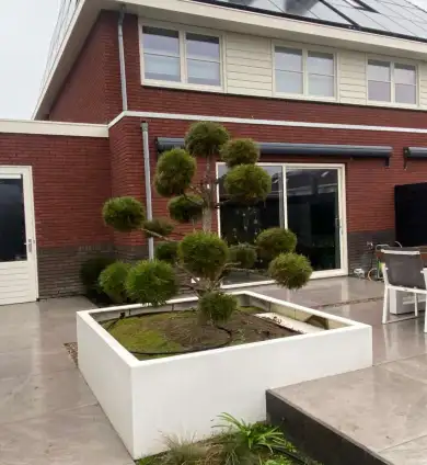 images/0000nieuws/2020/tuinoverkapping-tilburg/luxe-tuin-overkapping-strak-en-modern-tuinaanleg-vakman-hovenier-breda-390x424-246