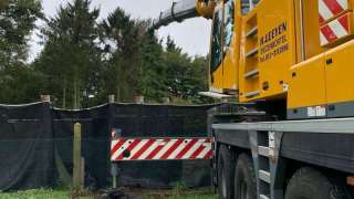 bomen verwijderen poppel