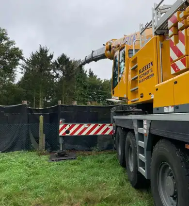 images/0000nieuws/2022/12-poppel/bomen-verwijderen-breda-dongen-390x424-83c