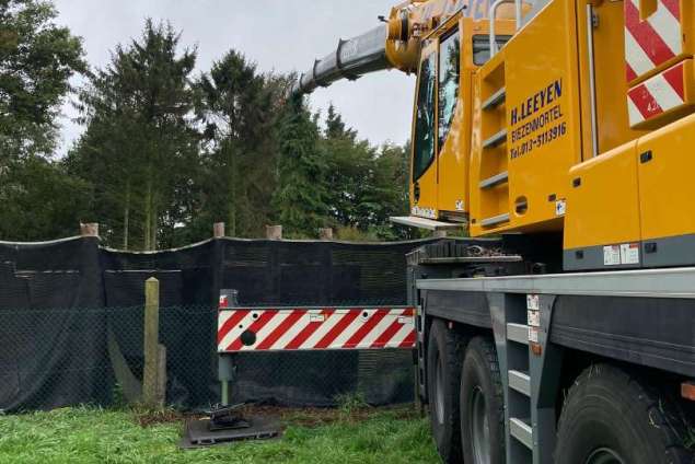 bomen verwijderen poppel