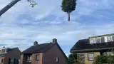images/0000nieuws/2022/12-poppel/bomen-verwijderen-breda-dongen-ulvenhout-160x90-f10