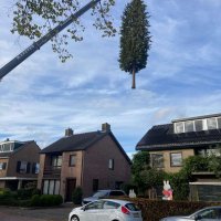 images/0000nieuws/2022/12-poppel/bomen-verwijderen-breda-dongen-ulvenhout-200x200-74a