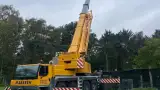 images/0000nieuws/2022/12-poppel/bomen-verwijderen-breda-dongen1-160x90-34b