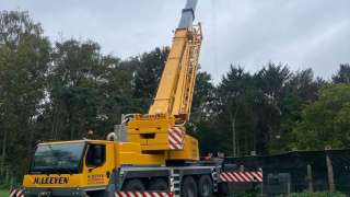 bomen verwijderen poppel